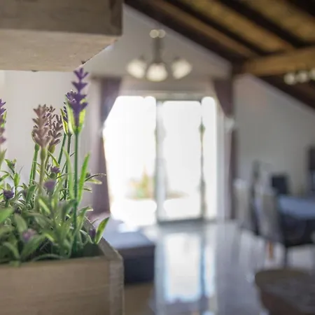 Lejlighed Ferienwohnung Tia -urlaub Mit Ihrem Hund Privlaka (Zadar)